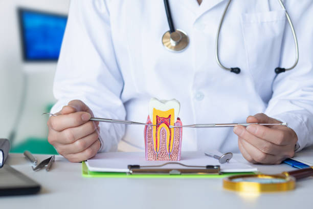 Best Knocked-Out Tooth (Avulsed Tooth) Treatment in Key West, FL